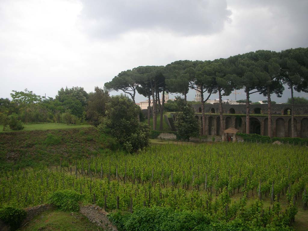 II.5.5 Pompeii. May 2010.
Looking south-east across replanted vineyard towards entrance gateway, and amphitheatre. Photo courtesy of Ivo van der Graaff.