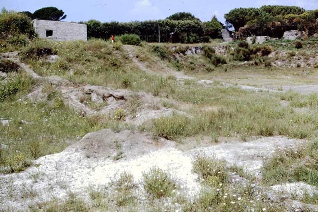 II.6 Pompeii. 1968. Looking west from south of ampitheatre, Tower IV can be seen on the right. Photo by Stanley A. Jashemski.
Source: The Wilhelmina and Stanley A. Jashemski archive in the University of Maryland Library, Special Collections (See collection page) and made available under the Creative Commons Attribution-Non Commercial License v.4. See Licence and use details.
J68f1758