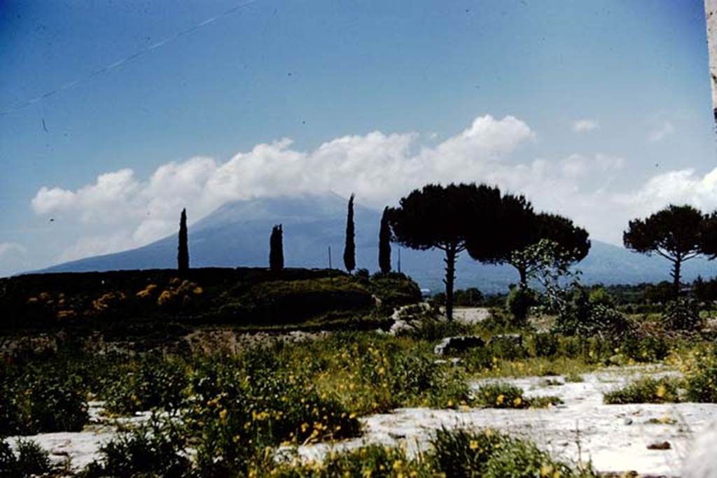 II.6 Pompeii. 1961. Looking north to ampitheatre and section of wall near Tower V, on right.
Photo by Stanley A. Jashemski.
Source: The Wilhelmina and Stanley A. Jashemski archive in the University of Maryland Library, Special Collections (See collection page) and made available under the Creative Commons Attribution-Non Commercial License v.4. See Licence and use details.
J61f0293