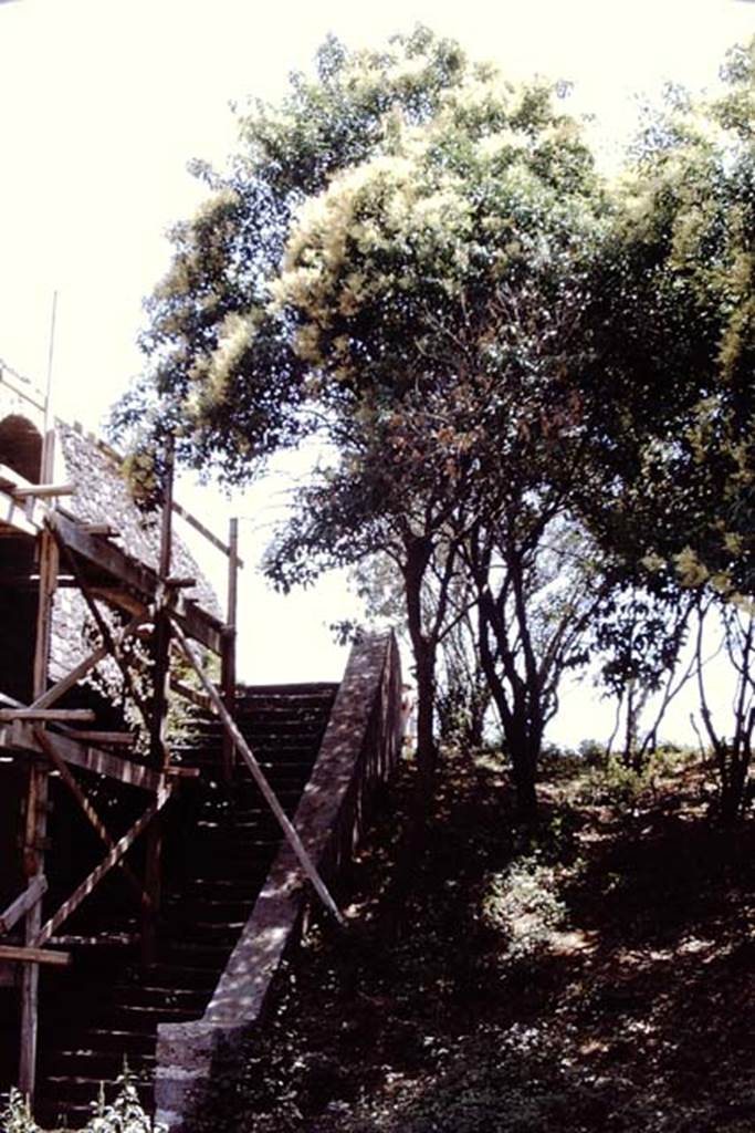 II.6 Pompeii. 1968. Steps near south-west exit of Amphitheatre, under repair. Photo by Stanley A. Jashemski.
Source: The Wilhelmina and Stanley A. Jashemski archive in the University of Maryland Library, Special Collections (See collection page) and made available under the Creative Commons Attribution-Non Commercial License v.4. See Licence and use details.
J68f0519