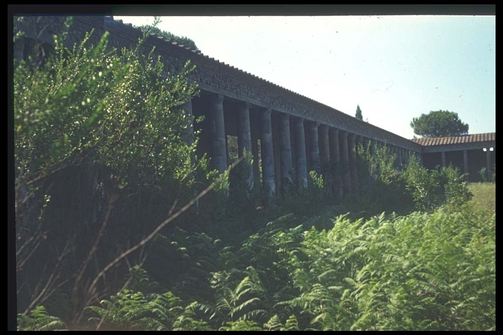II.7.1 Pompeii. Palaestra. Looking west along south side.
Photographed 1970-79 by Günther Einhorn, picture courtesy of his son Ralf Einhorn.