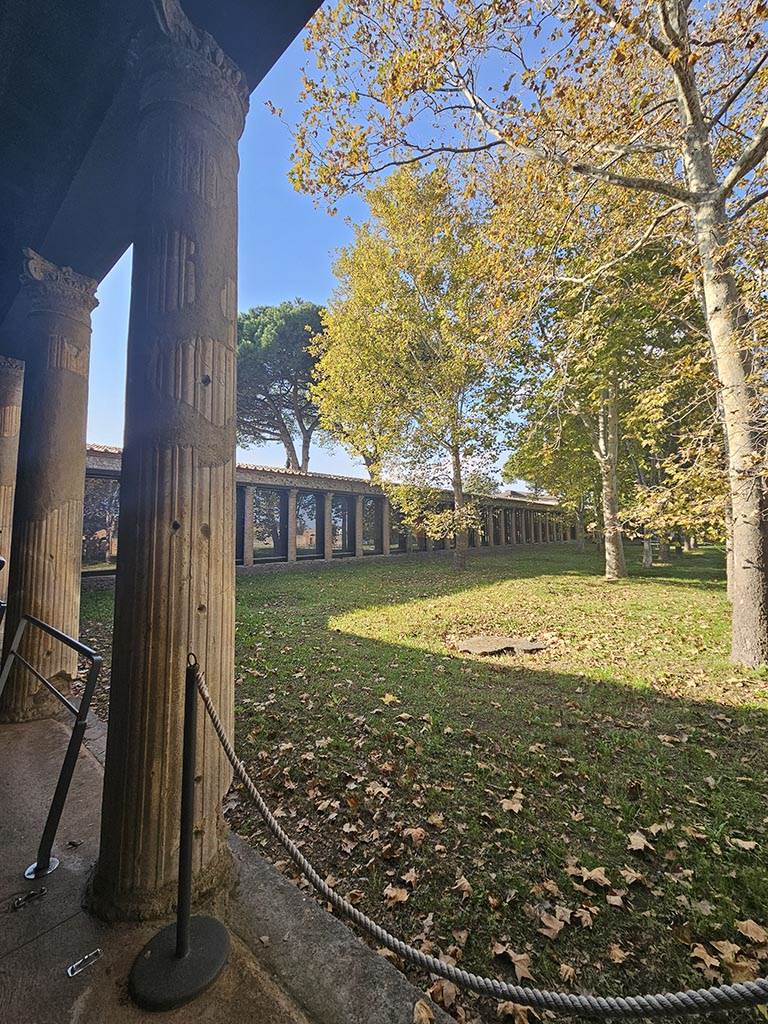 II.7 Pompeii. November 2024.
Looking towards west side from south portico. Photo courtesy of Annette Haug.