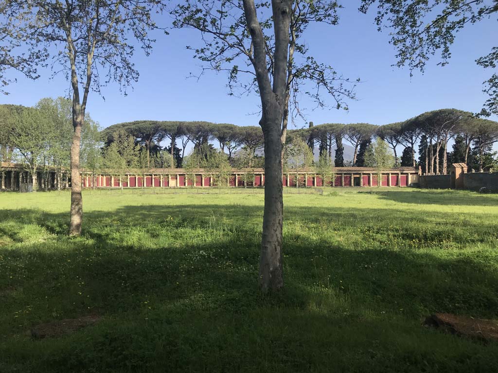 II.7.1 Pompeii. Palaestra. April 2019. Looking north towards Vesuvius, in distance behind trees.
Photo courtesy of Rick Bauer.