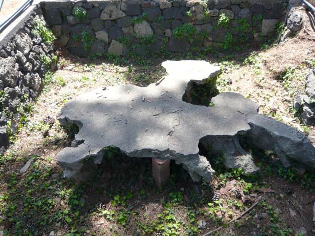 II.7.3 Pompeii. Palaestra. May 2012. Plaster cast of tree root, to be found near II.7.3.
Photo courtesy of Buzz Ferebee.