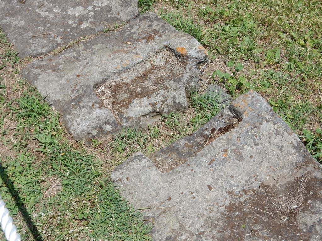 II.7 Pompeii. June 2019. Edge of pool in north-west corner. Photo courtesy of Buzz Ferebee.
Here was the sluice gate that controlled the water from the aqueduct.
According to NdS, "at the time of the eruption, this grandiose natatio was not in working order: one essential condition was missing: a water supply. The feeder canal was cut off and avulsed up to the height of its castellum aquae on the Via dell'Abbondanza; the pipework of the overflow canal was cut off; the shaft of the closing sluice gate was being restored or transformed; the whirlwind of lapilli that spilled into the vast area of the Palestra filled an empty and dried-up basin. This is further clear evidence of the serious disorder in which the city's water supply was at the time of the eruption, due, as we have surmised in our other exploration(s), to the complex renovation that Pompeii was carrying out of its urban aqueduct after the severe damage caused by the earthquake".
See Notizie degli Scavi di Antichità, 1939, p. 189-190.
