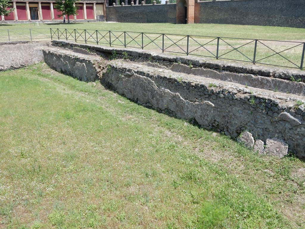 II.7 Pompeii. June 2019. Looking north-east across pool. Photo courtesy of Buzz Ferebee.