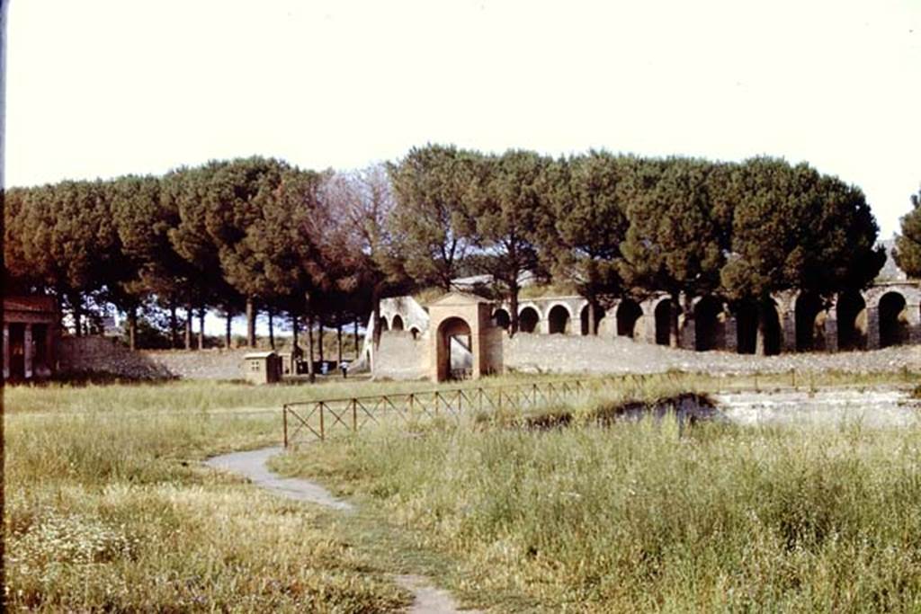 II.7.4 Pompeii. 1971. Looking towards north-east corner, and east side. Photo by Stanley A. Jashemski.
Source: The Wilhelmina and Stanley A. Jashemski archive in the University of Maryland Library, Special Collections (See collection page) and made available under the Creative Commons Attribution-Non Commercial License v.4. See Licence and use details.
J71f0224