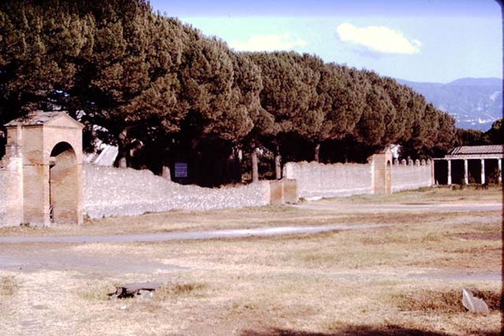 II.7.4 Pompeii. 1970. Looking south along east side. Photo by Stanley A. Jashemski.
Source: The Wilhelmina and Stanley A. Jashemski archive in the University of Maryland Library, Special Collections (See collection page) and made available under the Creative Commons Attribution-Non Commercial License v.4. See Licence and use details.
J70f0740
