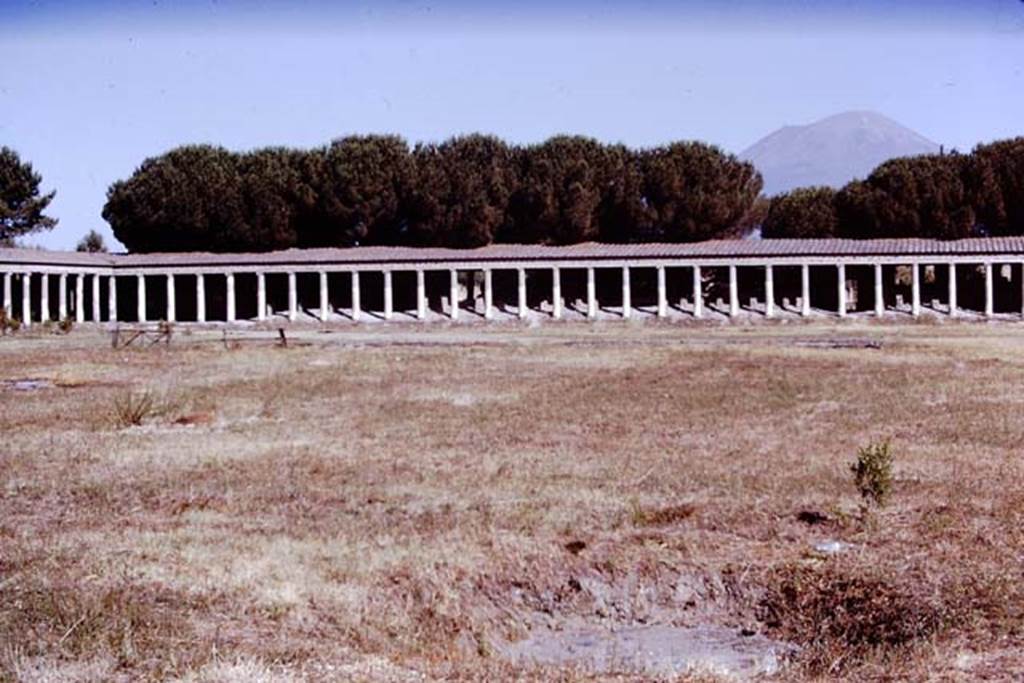 II.7 Pompeii. 1970. Looking towards north side. Photo by Stanley A. Jashemski.
Source: The Wilhelmina and Stanley A. Jashemski archive in the University of Maryland Library, Special Collections (See collection page) and made available under the Creative Commons Attribution-Non Commercial License v.4. See Licence and use details.
J70f0578