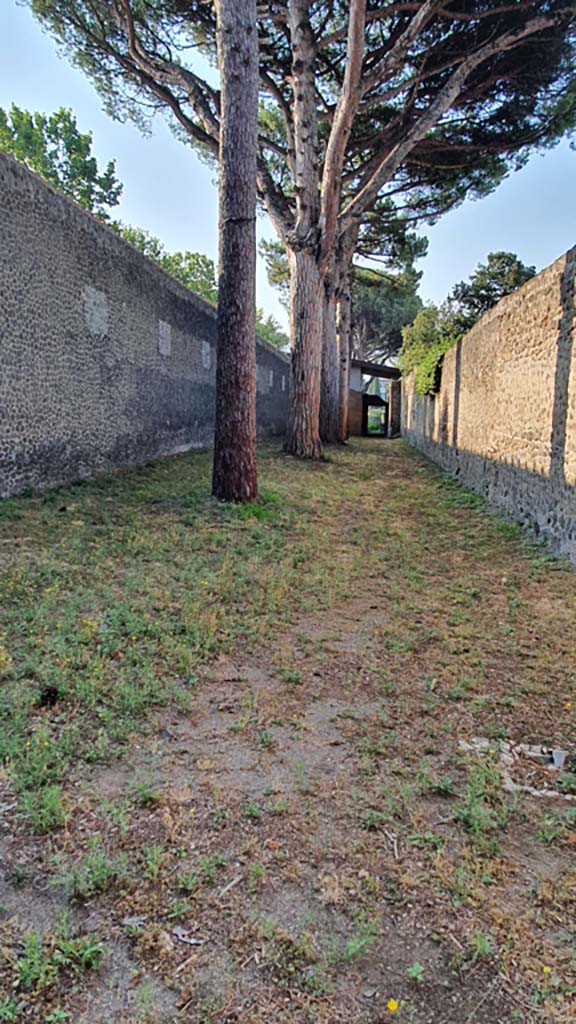 II.7.8 Pompeii on left. Palaestra. July 2021.
Looking south along roadway on west side leading towards II.7.9.
Foto Annette Haug, ERC Grant 681269 DÉCOR.