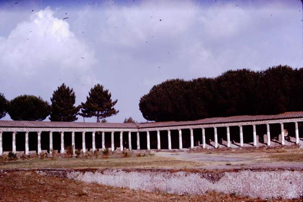 II.7.8 Pompeii. 1970. Looking towards the north-west corner. Photo by Stanley A. Jashemski.
Source: The Wilhelmina and Stanley A. Jashemski archive in the University of Maryland Library, Special Collections (See collection page) and made available under the Creative Commons Attribution-Non Commercial License v.4. See Licence and use details.
J70f0715