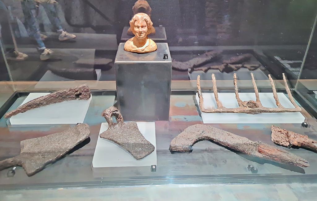 II.7.9 Pompeii. On display in exhibition in Palaestra entitled – “L’altra Pompei, vite comuni all’ombra del Vesuvio”. March 2024.
Photo courtesy of Giuseppe Ciaramella.
1 - Bust of young satyr, Terracotta, First half of Ist century BC., from Doric temple, VIII.7.31.
1 - (Busto di giovane satiro, Terracotta, prima meta I sec. a.C. Tempio Dorico. VIII.7.31.)
2 – 7 Iron farming tools (Strumenti agricoli i ferro) – See description card below (Vedi la scheda descrittiva qui sotto).
