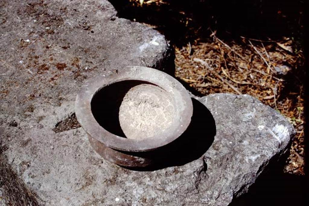 II.8.1 Pompeii. 1972. Bowl found in garden. Photo by Stanley A. Jashemski.
Source: The Wilhelmina and Stanley A. Jashemski archive in the University of Maryland Library, Special Collections (See collection page) and made available under the Creative Commons Attribution-Non Commercial License v.4. See Licence and use details. J72f0722