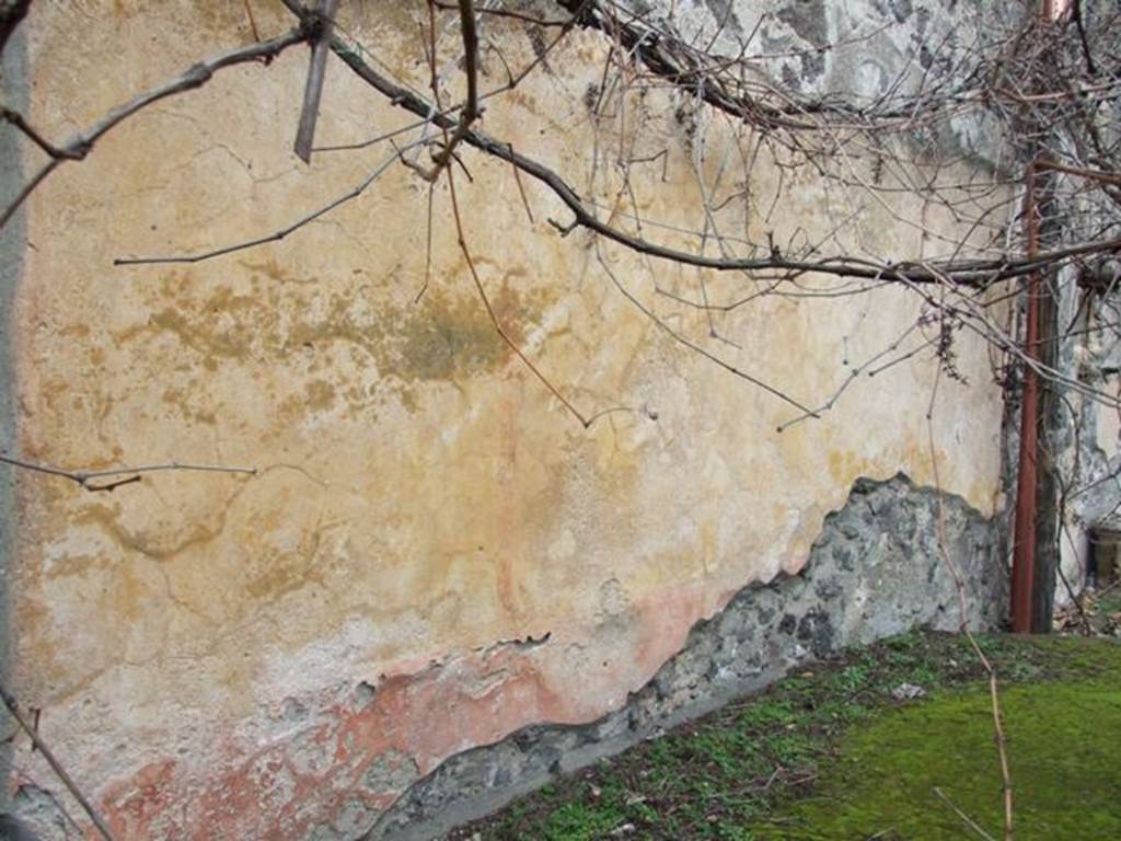 II.8.2. Thermopolium. December 2007. Painted wall plaster on north wall behind triclinium.