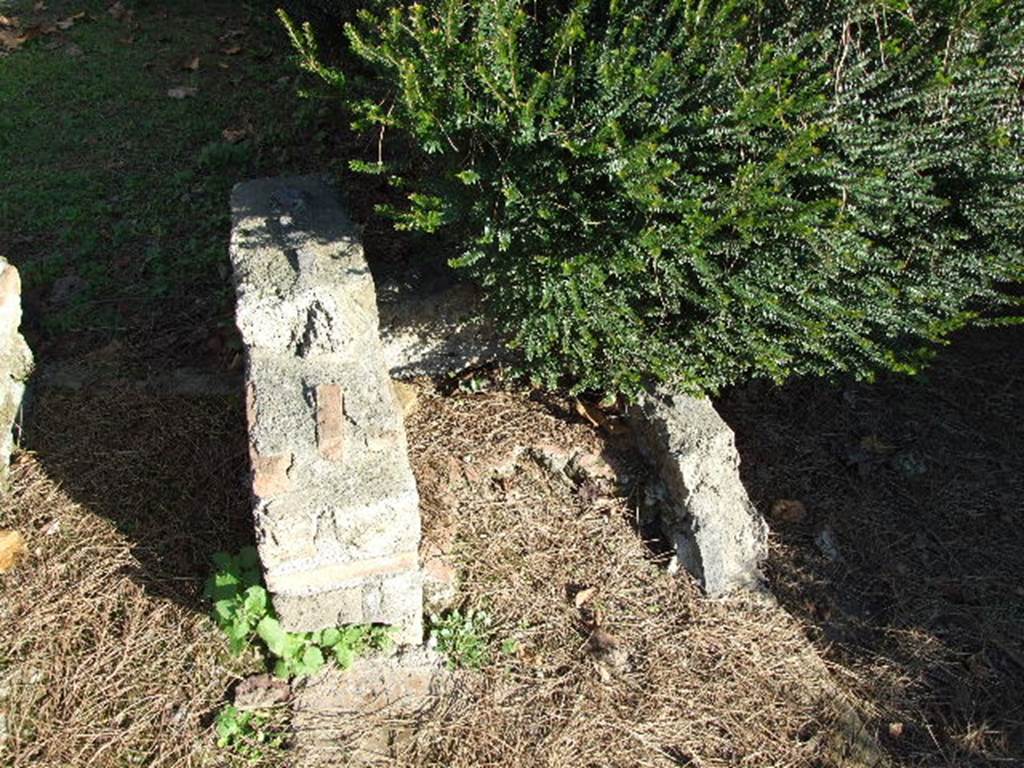 II.8.6 House of the Garden of Hercules. Remains of dog kennel in the garden by the Triclinium.