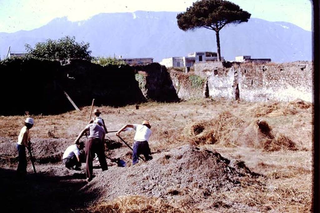 II.8.6 Pompeii. 1972. Looking towards south-west corner. Photo by Stanley A. Jashemski.
Source: The Wilhelmina and Stanley A. Jashemski archive in the University of Maryland Library, Special Collections (See collection page) and made available under the Creative Commons Attribution-Non Commercial License v.4. See Licence and use details. J72f0145