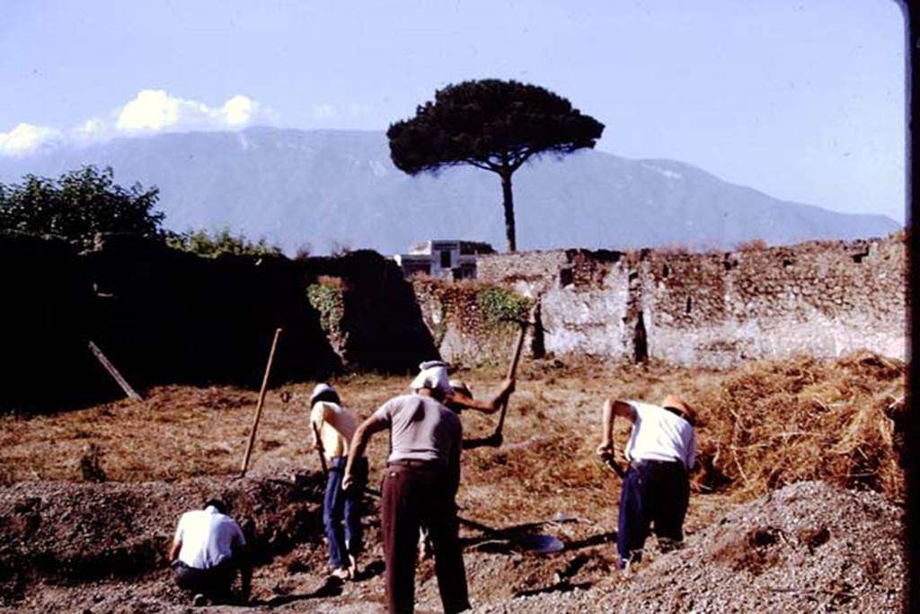 II.8.6 Pompeii. 1972. Looking south-west. Photo by Stanley A. Jashemski.
Source: The Wilhelmina and Stanley A. Jashemski archive in the University of Maryland Library, Special Collections (See collection page) and made available under the Creative Commons Attribution-Non Commercial License v.4. See Licence and use details. J72f0146