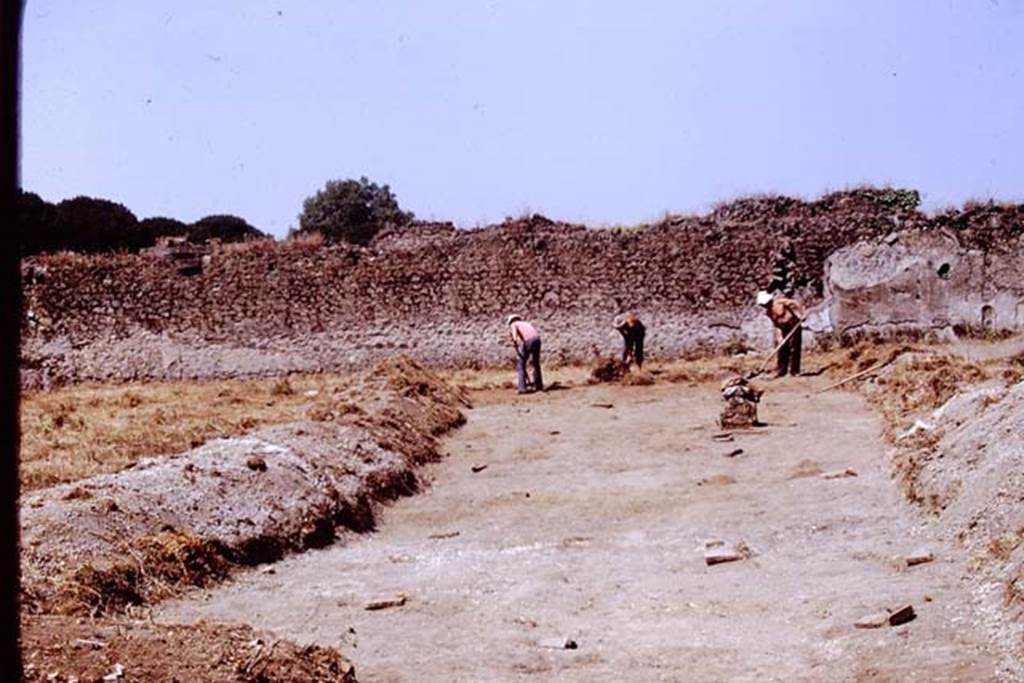 II.8.6 Pompeii. 1972. Looking west across site being cleared, with some root cutting being protected by stones. Photo by Stanley A. Jashemski.
Source: The Wilhelmina and Stanley A. Jashemski archive in the University of Maryland Library, Special Collections (See collection page) and made available under the Creative Commons Attribution-Non Commercial License v.4. See Licence and use details. J72f0155