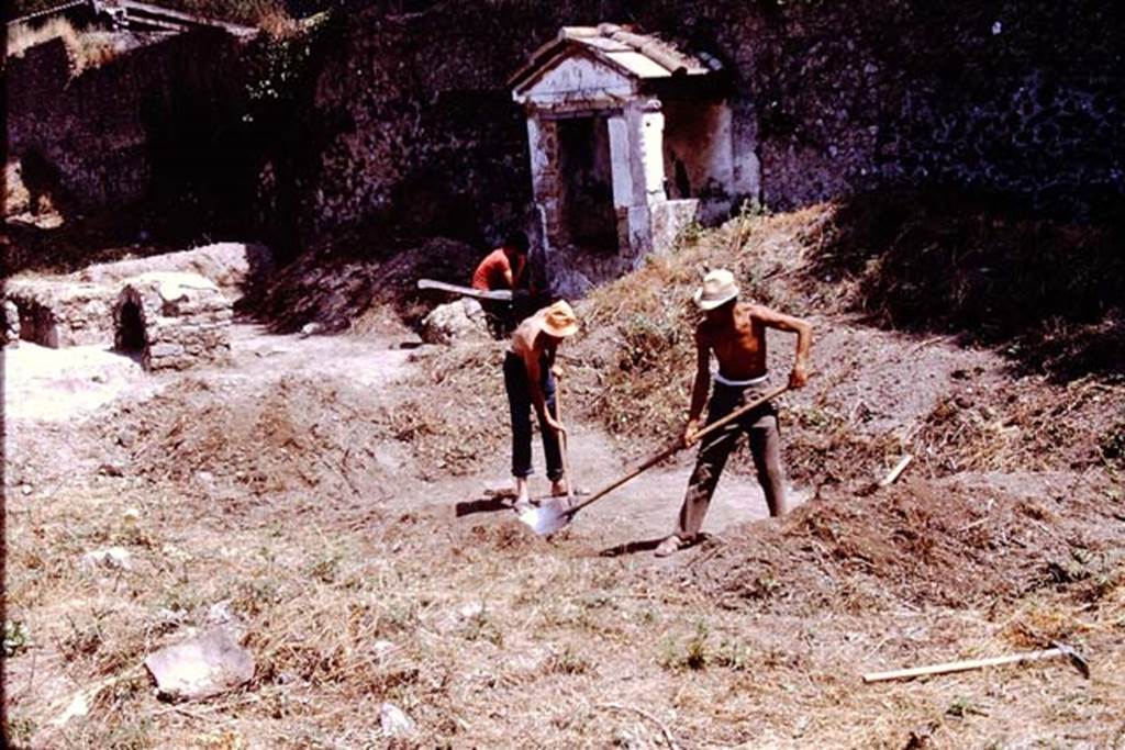 II.8.6 Pompeii. 1972. Looking north along east side. On the left, near the triclinium, is the “dog-kennel”. Photo by Stanley A. Jashemski.
Source: The Wilhelmina and Stanley A. Jashemski archive in the University of Maryland Library, Special Collections (See collection page) and made available under the Creative Commons Attribution-Non Commercial License v.4. See Licence and use details. J72f0170