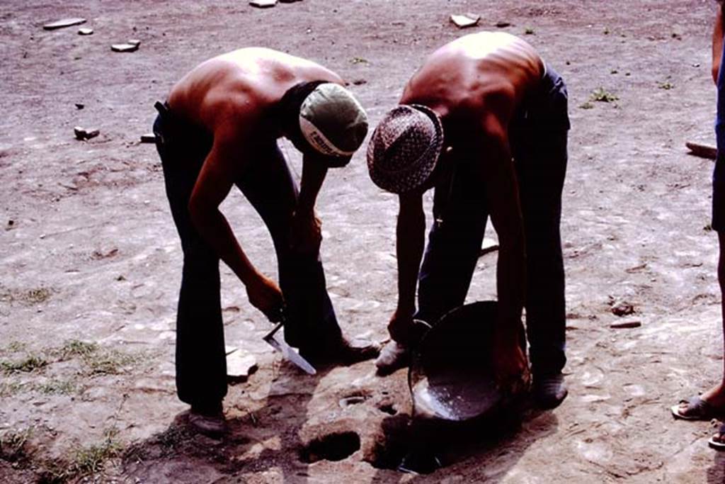 II.8.6 Pompeii. 1972. Filling the root cavity. Photo by Stanley A. Jashemski.
Source: The Wilhelmina and Stanley A. Jashemski archive in the University of Maryland Library, Special Collections (See collection page) and made available under the Creative Commons Attribution-Non Commercial License v.4. See Licence and use details. J72f0326