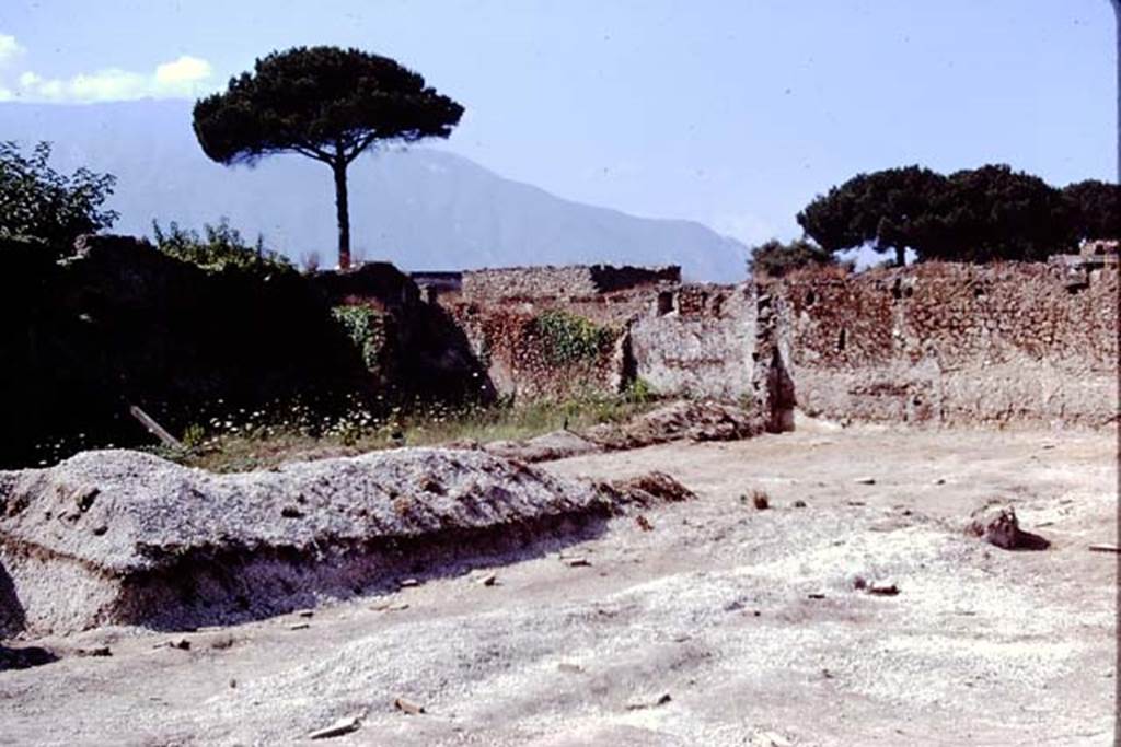 II.8.6 Pompeii. 1972. Looking towards south-west corner of garden area. Photo by Stanley A. Jashemski.
Source: The Wilhelmina and Stanley A. Jashemski archive in the University of Maryland Library, Special Collections (See collection page) and made available under the Creative Commons Attribution-Non Commercial License v.4. See Licence and use details. J72f0674