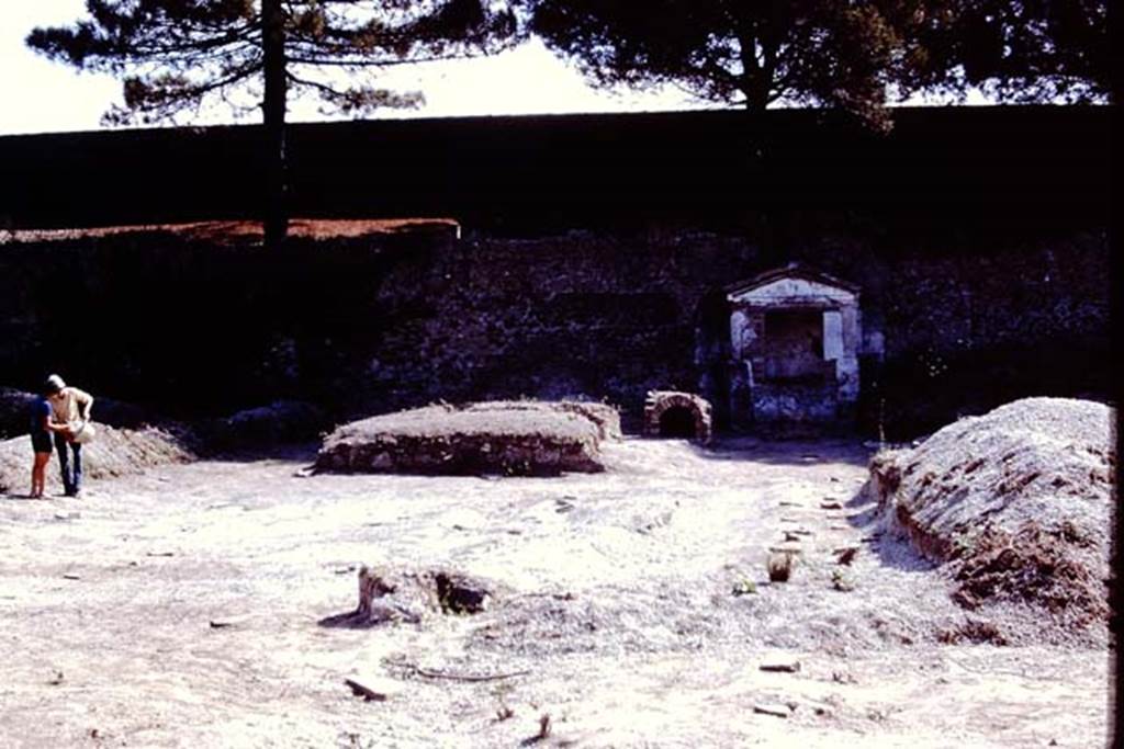 II.8.6 Pompeii. 1972. Looking east across garden area. Photo by Stanley A. Jashemski.
Source: The Wilhelmina and Stanley A. Jashemski archive in the University of Maryland Library, Special Collections (See collection page) and made available under the Creative Commons Attribution-Non Commercial License v.4. See Licence and use details. J72f0677