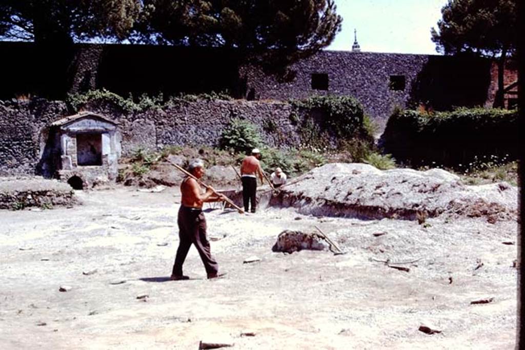 II.8.6 Pompeii. 1972. Looking towards south-east corner of garden area. Photo by Stanley A. Jashemski.
Source: The Wilhelmina and Stanley A. Jashemski archive in the University of Maryland Library, Special Collections (See collection page) and made available under the Creative Commons Attribution-Non Commercial License v.4. See Licence and use details. J72f0693