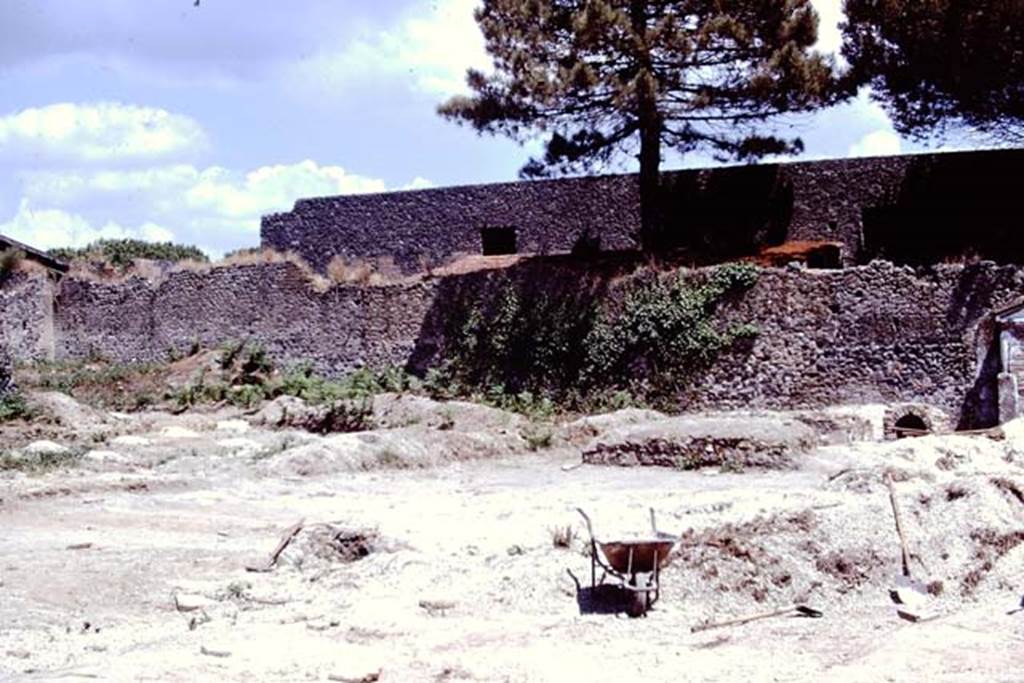 II.8.6 Pompeii. 1972. Looking towards north-east corner of garden area. Photo by Stanley A. Jashemski.
Source: The Wilhelmina and Stanley A. Jashemski archive in the University of Maryland Library, Special Collections (See collection page) and made available under the Creative Commons Attribution-Non Commercial License v.4. See Licence and use details. J72f0691