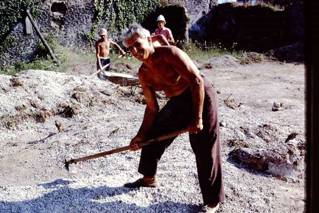 II.8.6 Pompeii. 1972. Working with a hoe (zappa). Photo by Stanley A. Jashemski.
Source: The Wilhelmina and Stanley A. Jashemski archive in the University of Maryland Library, Special Collections (See collection page) and made available under the Creative Commons Attribution-Non Commercial License v.4. See Licence and use details. J72f0668