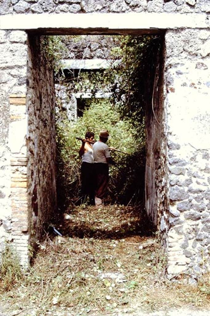 II.8.6 Pompeii. 1971. Looking east from entrance doorway. Photo by Stanley A. Jashemski.
Source: The Wilhelmina and Stanley A. Jashemski archive in the University of Maryland Library, Special Collections (See collection page) and made available under the Creative Commons Attribution-Non Commercial License v.4. See Licence and use details.
J71f0162