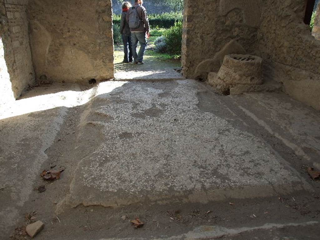II.8.6 House of the Garden of Hercules. Three sided watercourse and well in Viridarium.