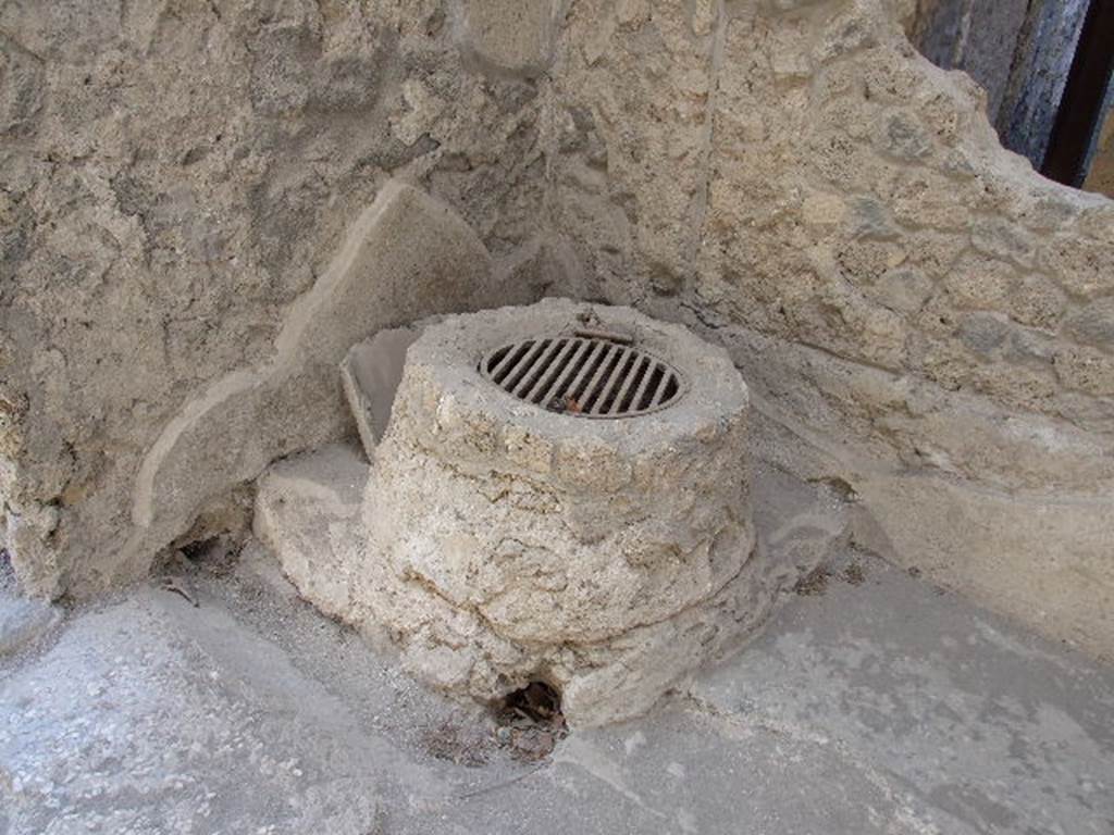 II.8.6 House of the Garden of Hercules. Well in Viridarium.