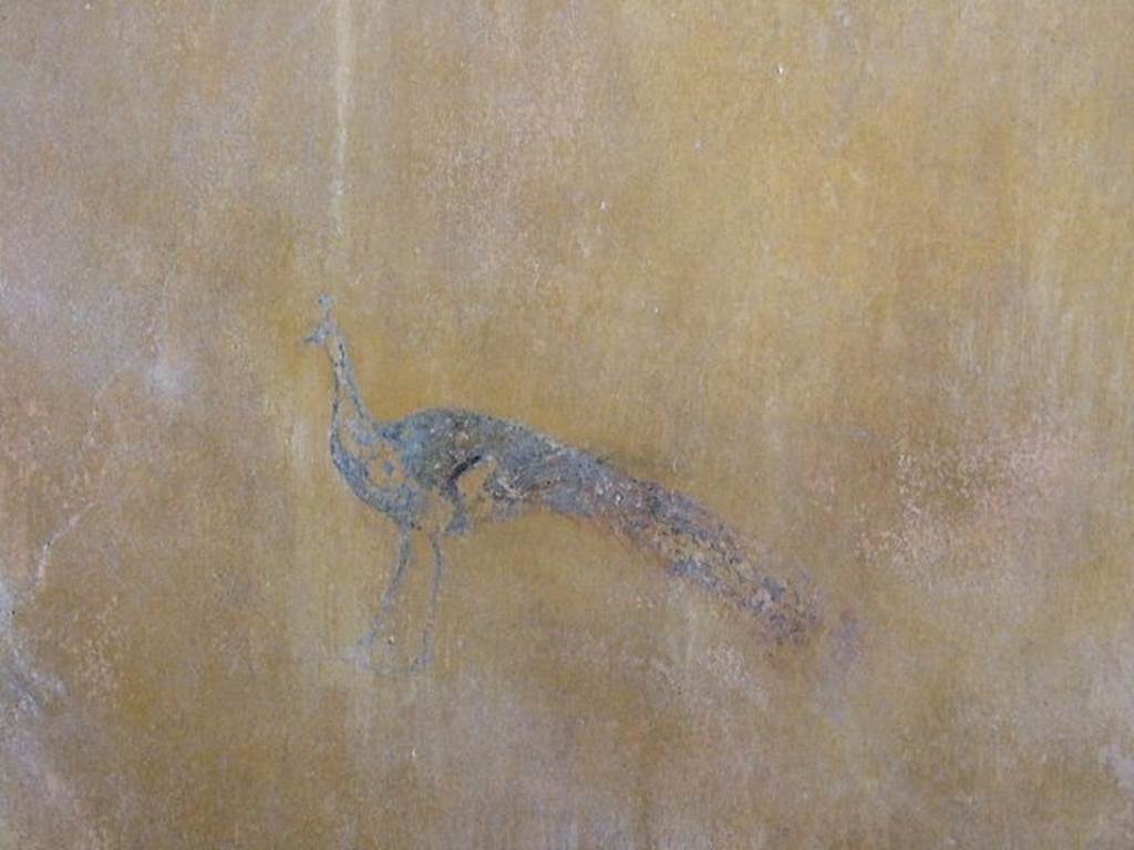 II.8.6 House of the Garden of Hercules. Painted room. Detail of wall painting.