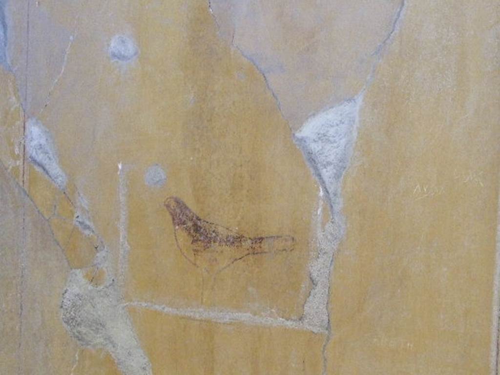 II.8.6 House of the Garden of Hercules. Painted room. Detail of wall painting.