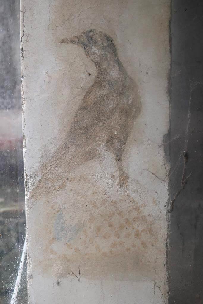 II.9.1 Pompeii. December 2018.
Detail of black bird from east side of column on the north side of the triclinium. Photo courtesy of Aude Durand.