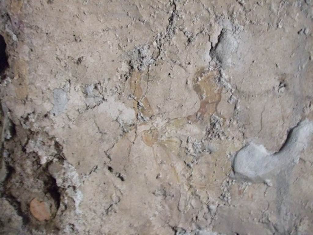 II.9.1 Pompeii. December 2007. Remains of wall painting of man with arm raised. Is this the picture Frohlich refers to as a very faded painting on the west wall of room 9? See Fröhlich, T., 1991, Lararien und Fassadenbilder in den Vesuvstädten. Mainz: von Zabern. (L41b:p.266).
According to Giacobello, a painted lararium was seen on the west wall of room 9, in the centre of white wall plaster. A serpent was coiled around an altar, the Genius assisted by a camillo was sacrificing. The Lares were at the sides of this scene. See Giacobello, F., 2008. Larari Pompeiani: Iconografia e culto dei Lari in ambito domestico. Milano: LED Edizioni. (p.162)
