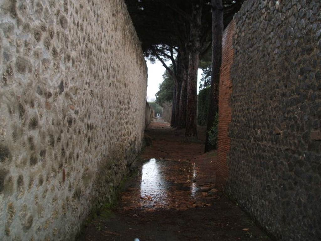 Rear of II.9.1 near Palaestra looking North
