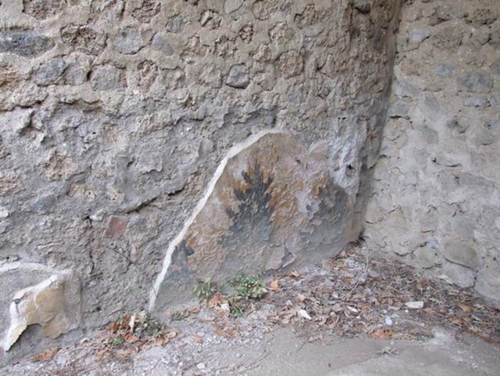 II.9.2 Pompeii. December 2007. Garden. Painted plant on north wall above triclinium.