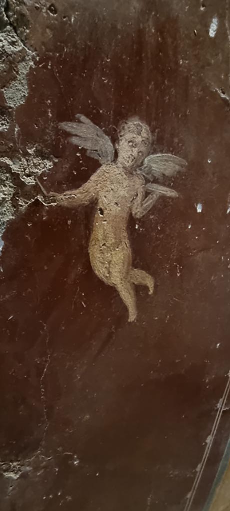 II.9.4 Pompeii. December 2023.
Room 6, painted flying figure on red panel of south wall of cubiculum.
Photo courtesy of Miriam Colomer.