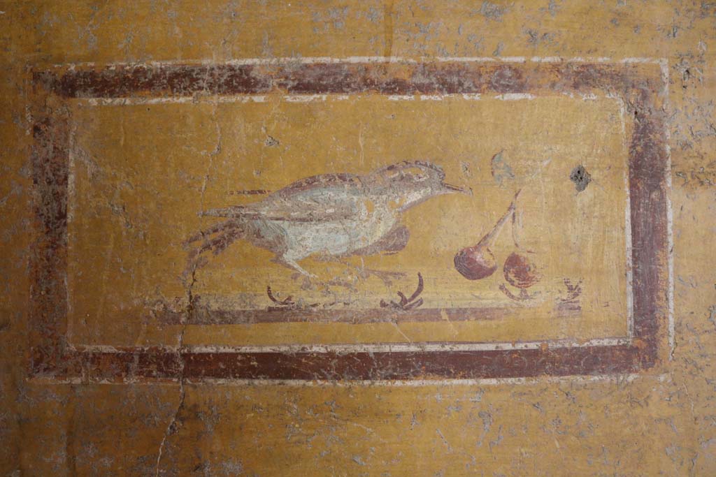 II.9.4 Pompeii. December 2018.
Room 8, painted panel with bird and cherries from south end of west wall. Photo courtesy of Aude Durand.
