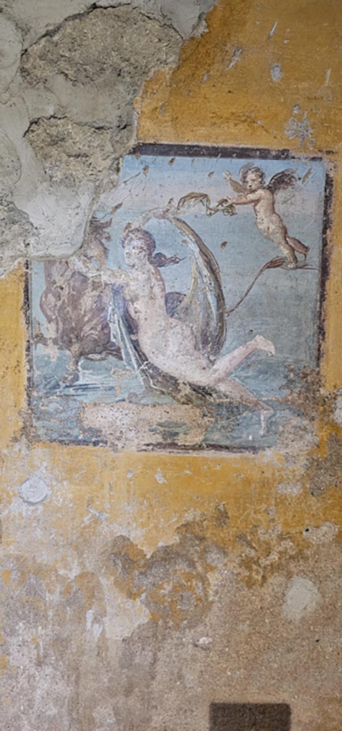 II.9.4 Pompeii. December 2023.
Room 8, west wall, central wall painting of Europa and the Bull.
Photo courtesy of Miriam Colomer.