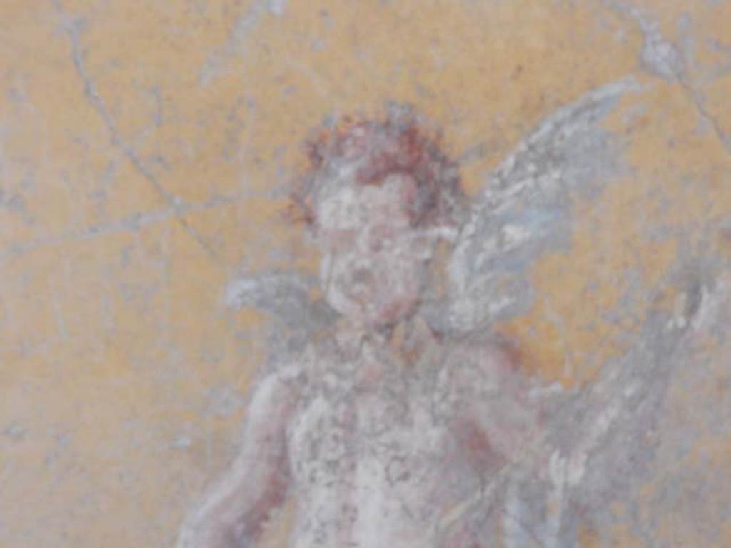 II.9.4, Pompeii. May 2018. Room 8, detail of painted figure from north wall. Photo courtesy of Buzz Ferebee.