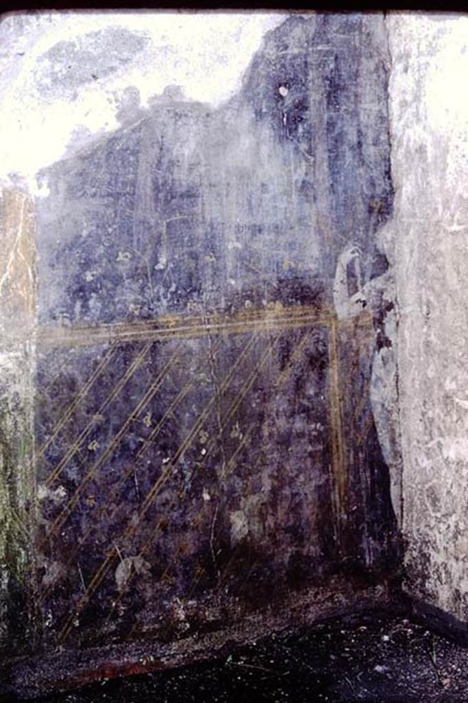 II.9.5 Pompeii. 1984. Room 6, garden painting, including a painted statuette of Venus, on west wall of peristyle at rear of property.
Source: The Wilhelmina and Stanley A. Jashemski archive in the University of Maryland Library, Special Collections (See collection page) and made available under the Creative Commons Attribution-Non Commercial License v.4. See Licence and use details. J84f0071