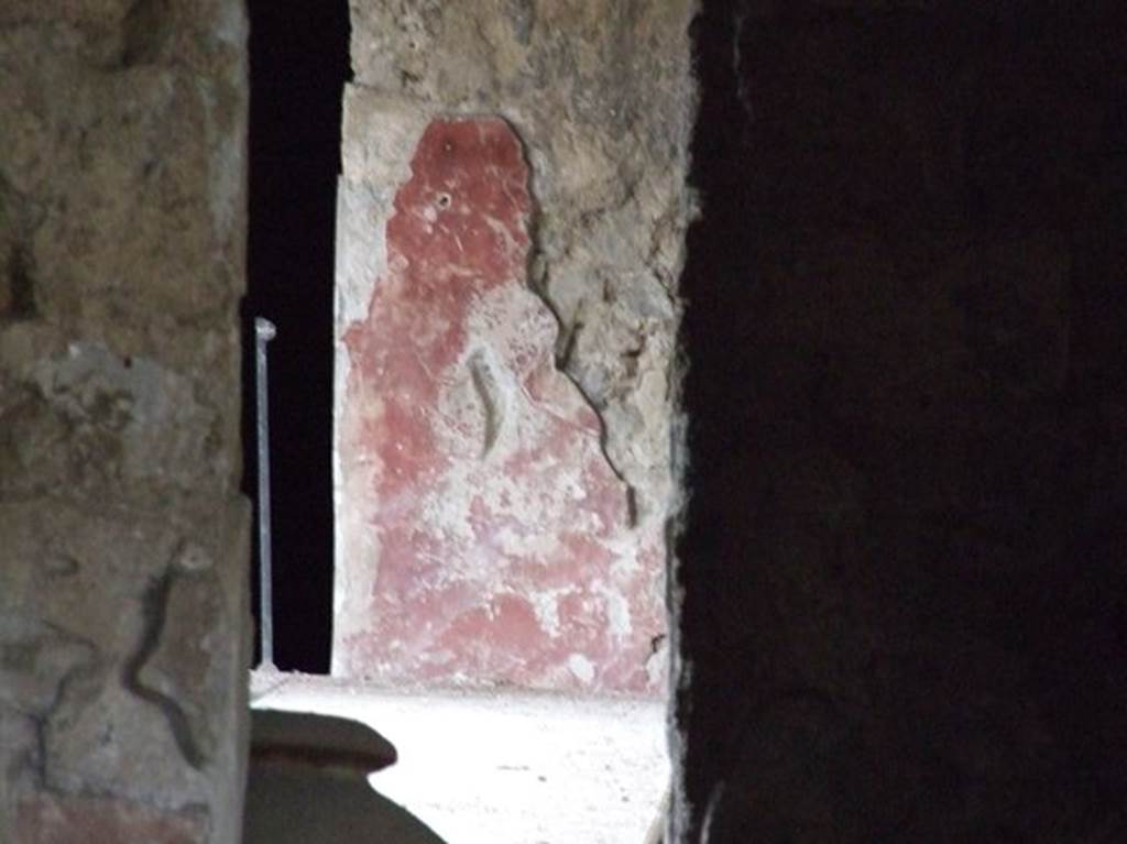 II.9.5 Casa del Triclinio all’ aperto. December 2006. Room 6. Peristyle at rear of property. Painted plaster on rear east end wall of corridor.