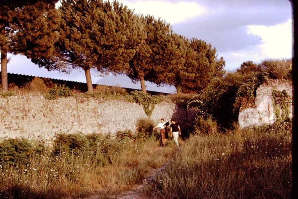 II.9.7 Pompeii. 1970. Looking south-east across garden area. Photo by Stanley A. Jashemski.
Source: The Wilhelmina and Stanley A. Jashemski archive in the University of Maryland Library, Special Collections (See collection page) and made available under the Creative Commons Attribution-Non Commercial License v.4. See Licence and use details.
J70f0747