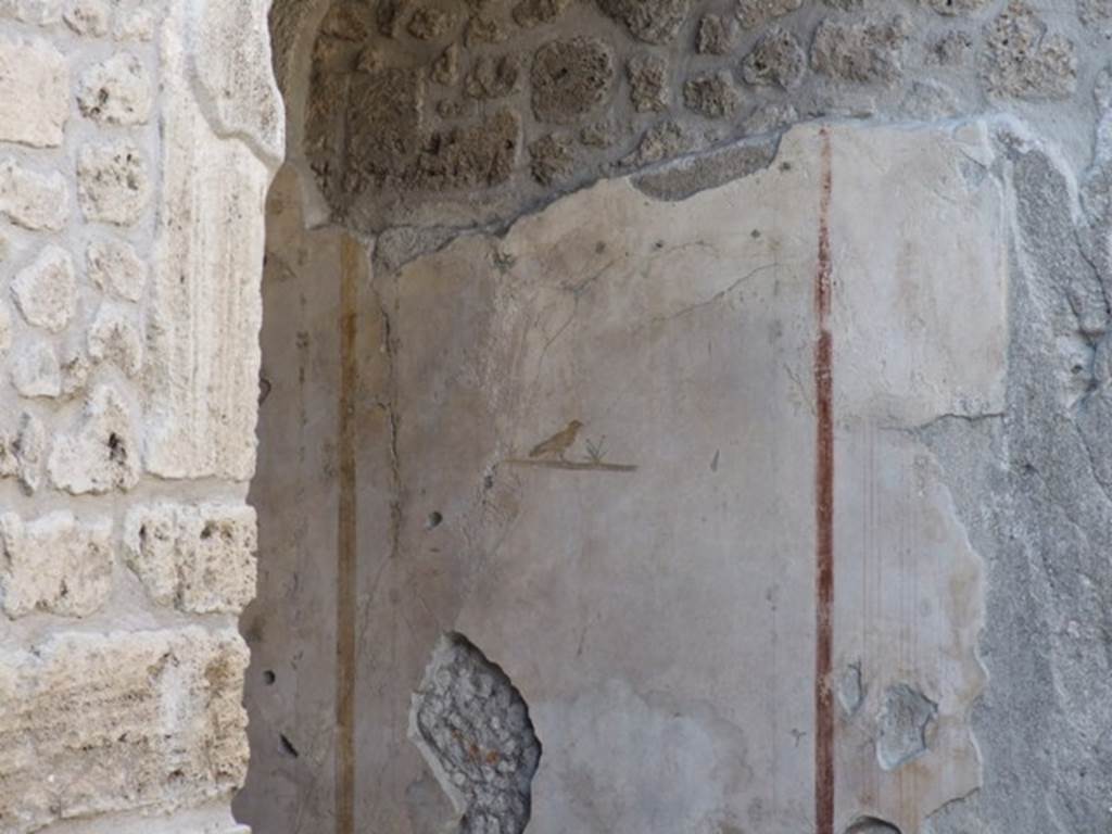 III.2.1 Pompeii. December 2007. Room 5. Ala. Painted bird on plaster on north wall.