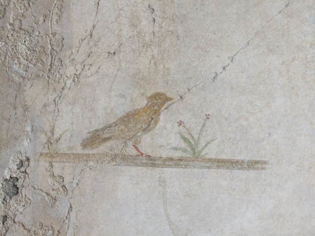 III.2.1 Pompeii. March 2009. Room 5. Ala. Bird painting.