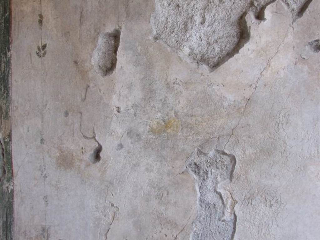 III.2.1 Pompeii. March 2009. Room 5. Ala. Remains of painting.