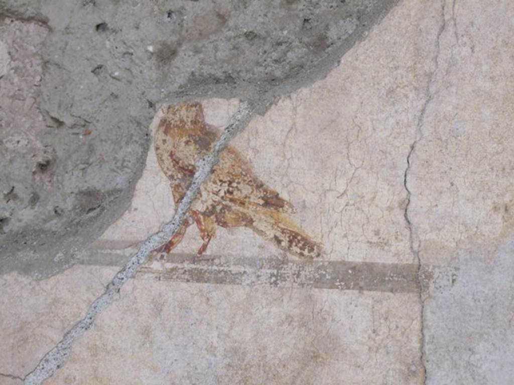 III.2.1 Pompeii. March 2009. Room 5. Ala. Remains of bird painting.