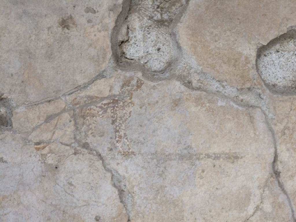 III.2.1 Pompeii. March 2009. Room 5. Ala. Remains of animal painting.